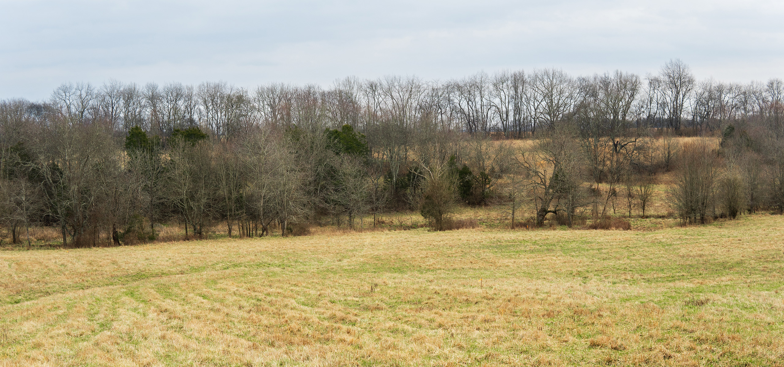 The Landing at Branham Mill
